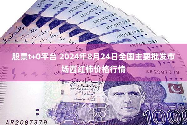 股票t+0平台 2024年8月24日全国主要批发市场西红柿价格行情