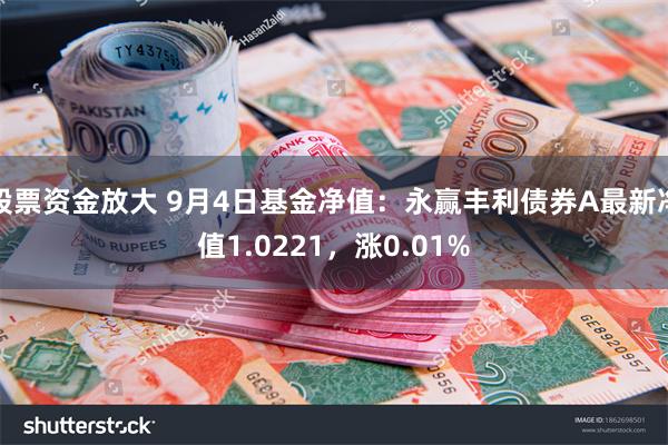 股票资金放大 9月4日基金净值：永赢丰利债券A最新净值1.0221，涨0.01%