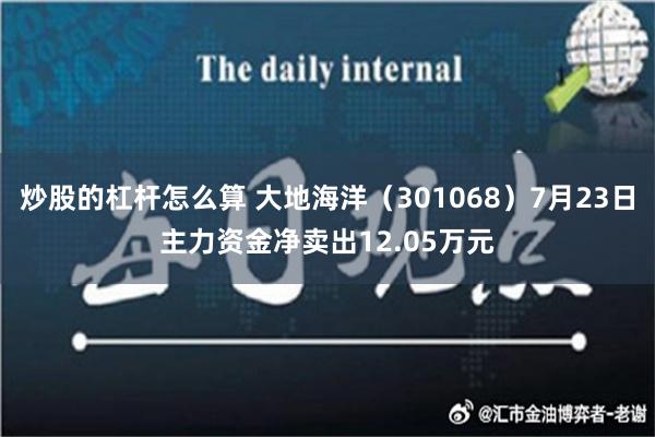 炒股的杠杆怎么算 大地海洋（301068）7月23日主力资金净卖出12.05万元