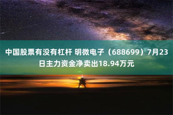 中国股票有没有杠杆 明微电子（688699）7月23日主力资金净卖出18.94万元