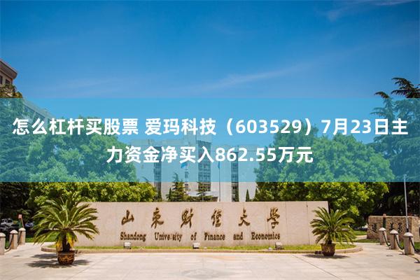 怎么杠杆买股票 爱玛科技（603529）7月23日主力资金净买入862.55万元