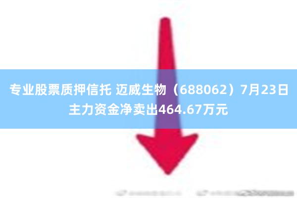 专业股票质押信托 迈威生物（688062）7月23日主力资金净卖出464.67万元