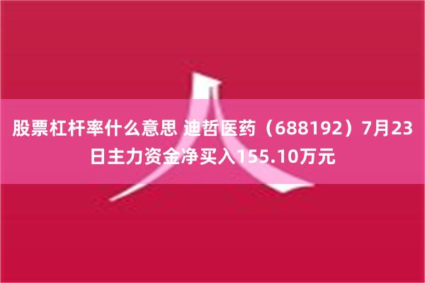 股票杠杆率什么意思 迪哲医药（688192）7月23日主力资金净买入155.10万元