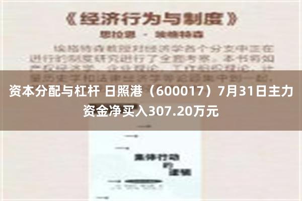 资本分配与杠杆 日照港（600017）7月31日主力资金净买入307.20万元