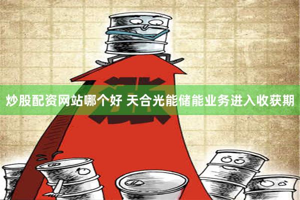 炒股配资网站哪个好 天合光能储能业务进入收获期