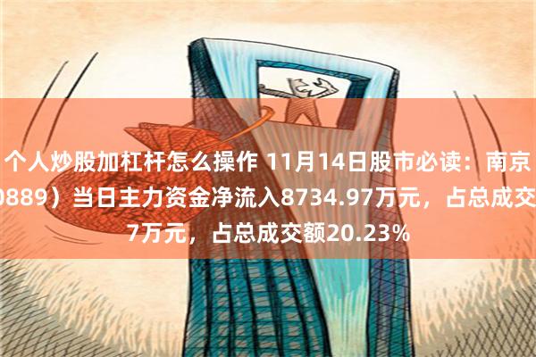 个人炒股加杠杆怎么操作 11月14日股市必读：南京化纤（600889）当日主力资金净流入8734.97万元，占总成交额20.23%