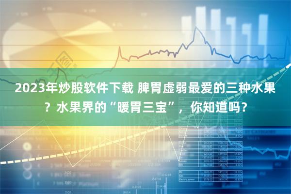 2023年炒股软件下载 脾胃虚弱最爱的三种水果？水果界的“暖胃三宝”，你知道吗？