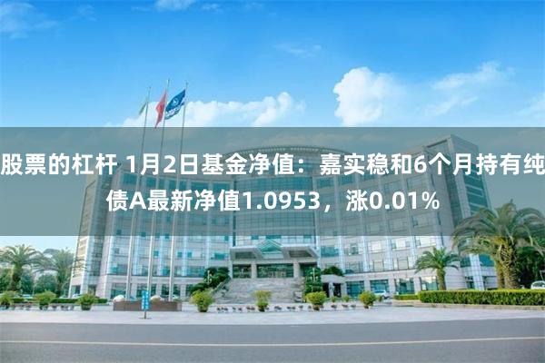 股票的杠杆 1月2日基金净值：嘉实稳和6个月持有纯债A最新净值1.0953，涨0.01%