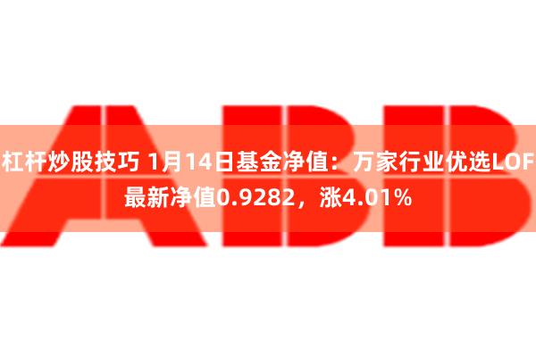 杠杆炒股技巧 1月14日基金净值：万家行业优选LOF最新净值0.9282，涨4.01%