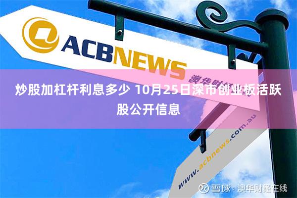 炒股加杠杆利息多少 10月25日深市创业板活跃股公开信息